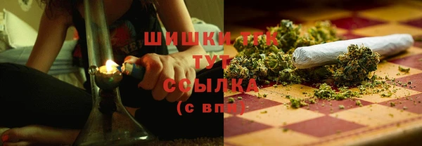 молекула духа Бородино