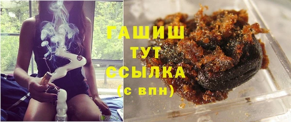 молекула духа Бородино