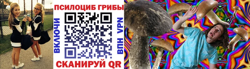 Псилоцибиновые грибы ЛСД Майкоп